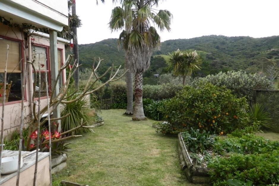 Great Barrier Oasis Lodge Tryphena エクステリア 写真